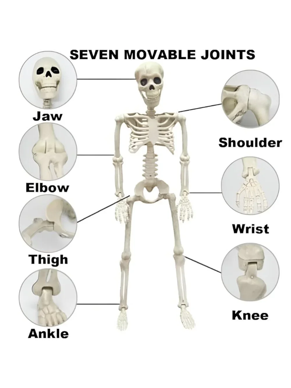 36